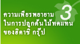 ความเพียรพยายาม ปลูกต้นไม้ทดแทน ของฮิตาชิ กรุ๊ป