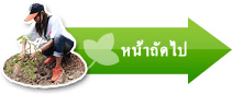 หน้าถัดไป: ปลูกต้นไม้เพื่อโลก, ปลูกต้นไม้เพื่ออนาคต
