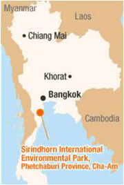 แผนที่การรณรงค์ร้อยล้านต้นไม้ในประเทศไทย 2009