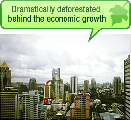 picture : Dramatically Deforestated Behind the Economic Growth